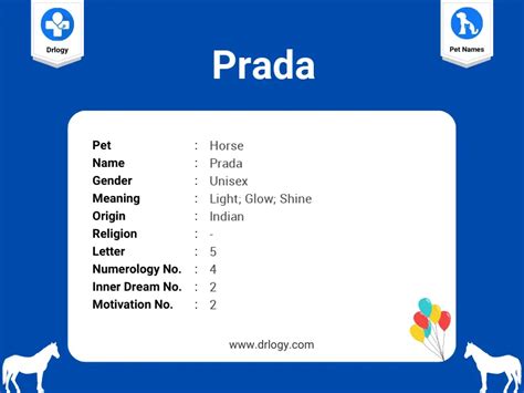 prada meaning slang.